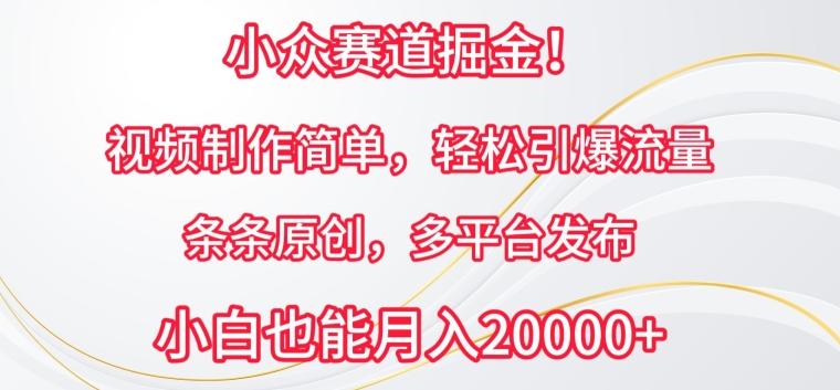 小众赛道掘金，视频制作简单，轻松引爆流量，条条原创，多平台发布【揭秘】-全有网创