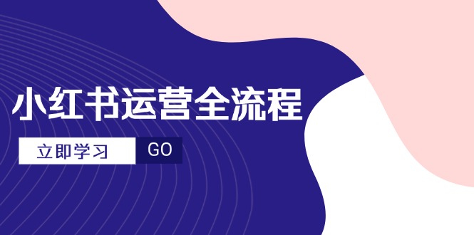 小红书运营全流程，爆款选题文案，视频制作技巧，进阶达人宝典-全有网创