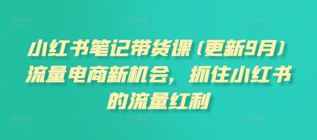 小红书笔记带货课(更新25年5月)流量电商新机会，抓住小红书的流量红利-全有网创