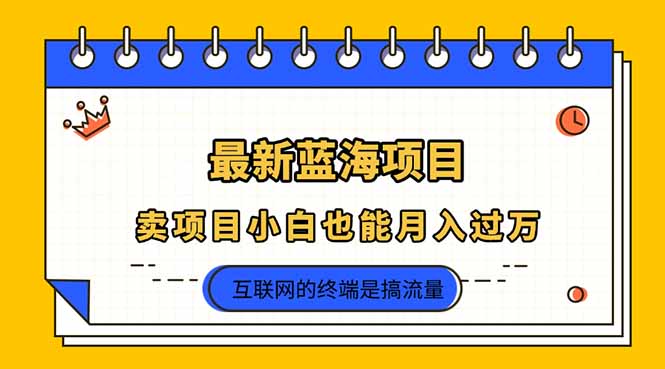 （14289期）2025年最新蓝海项目，卖项目小白也能月入过万-全有网创