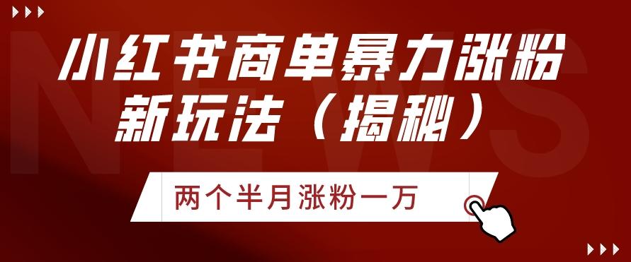 小红书商单暴力涨粉新玩法两个半月涨粉一万（揭秘）-全有网创