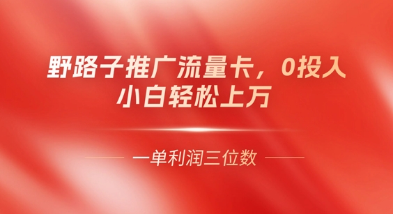0门槛推广流量卡,一单收益上百,0投入,小白月入过W-全有网创