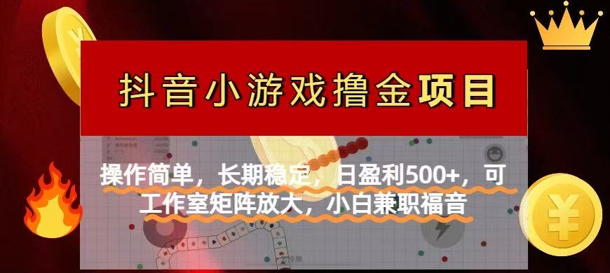 （14290期）【抖音小游戏发行人计划项目】操作简单，长期稳定，日盈利500+，可工作...-全有网创