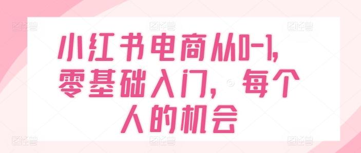 小红书电商从0-1，零基础入门，每个人的机会-全有网创
