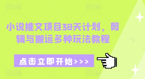 小说推文项目38天计划，剪辑与搬运多种玩法教程-全有网创