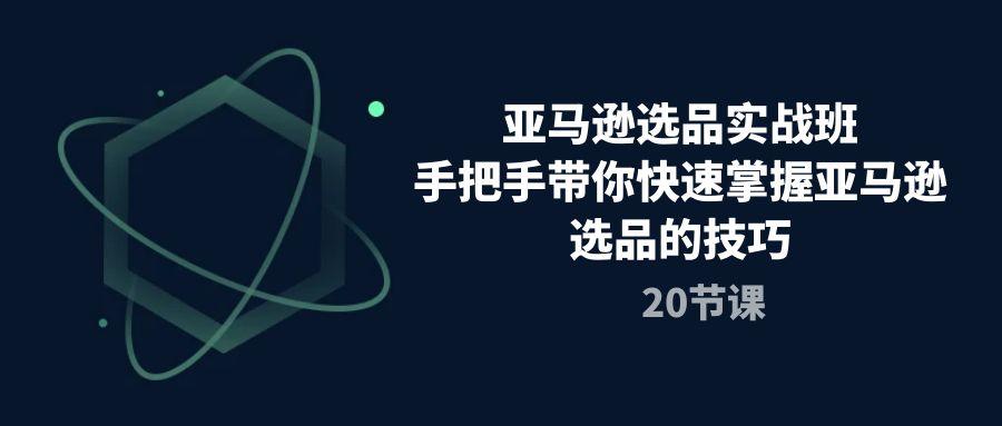 亚马逊选品实战班，手把手带你快速掌握亚马逊选品的技巧(20节课-全有网创