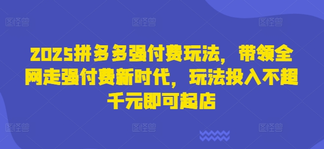 2025拼多多强付费玩法，带领全网走强付费新时代，玩法投入不超千元即可起店-全有网创