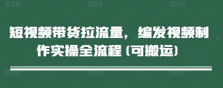 短视频带货拉流量,编发视频制作实操全流程(可搬运)-全有网创
