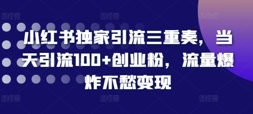 小红书独家引流三重奏，当天引流100+创业粉，流量爆炸不愁变现【揭秘】-全有网创