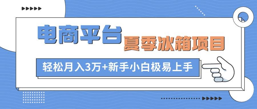 电商平台夏季冰箱项目，轻松月入3万+，新手小白极易上手-全有网创