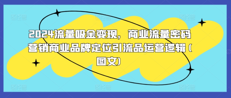 2024流量吸金变现，商业流量密码营销商业品牌定位引流品运营逻辑(图文)-全有网创