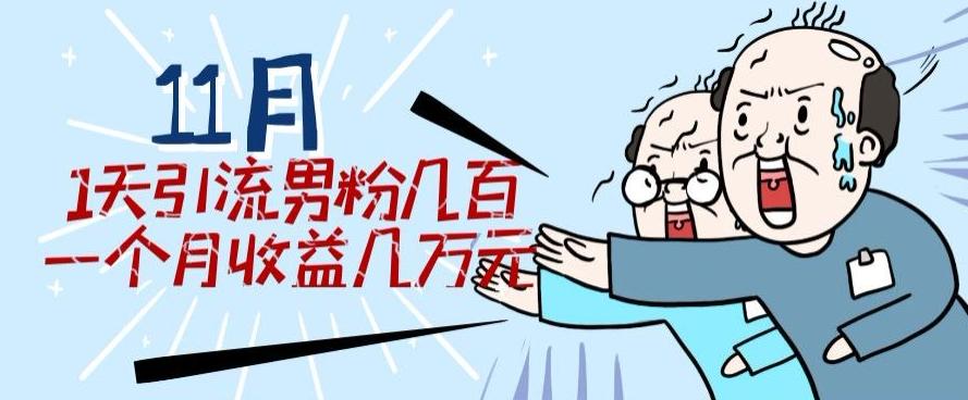 11月最新每天引流男粉300+一个月收益几万元-全有网创