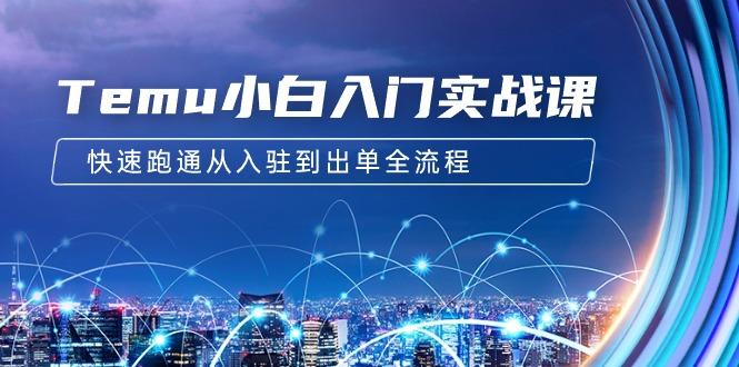 (9295期)Temu小白入门实战课：跨境拼多多电商培训 快速跑通从入驻到出单全流程-12节-全有网创