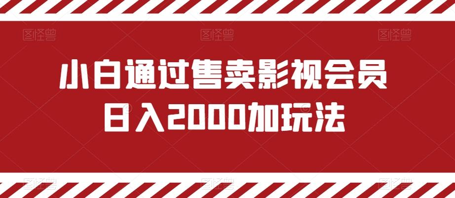 小白通过售卖影视会员日入2000加玩法-全有网创