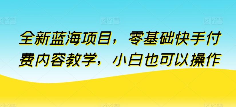 全新蓝海项目，零基础快手付费内容教学，小白也可以操作【揭秘】-全有网创