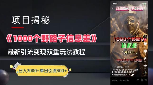 一千个野路子信息差最新玩法教程-变现+引流的玩法具体拆解【揭秘】-全有网创