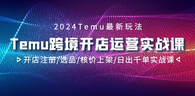 2024Temu跨境开店运营实战课，开店注册/选品/核价上架/日出千单实战课-全有网创