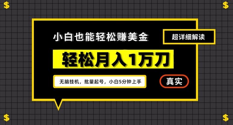 谷歌看广告撸美金2.0，无脑挂机，多号操作，月入1万刀【揭秘】-全有网创