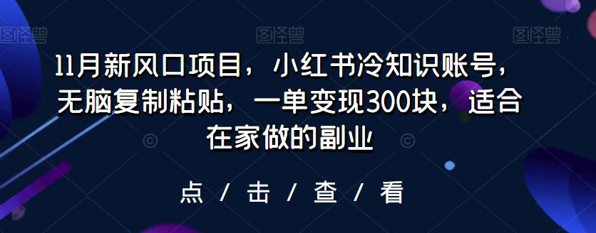 11月新风口项目,小红书冷知识账号,无脑复制粘贴,一单变现300块,适合在家做的副业