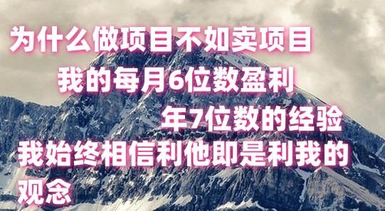 做项目不如卖项目，每月6位数盈利，年7位数经验-全有网创