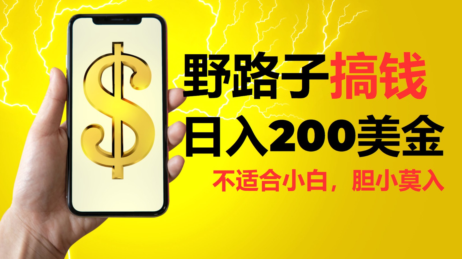挂机野路子搞钱,日入200美金,路子很野,小白莫入-全有网创