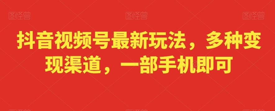 抖音视频号最新玩法，多种变现渠道，一部手机即可-全有网创