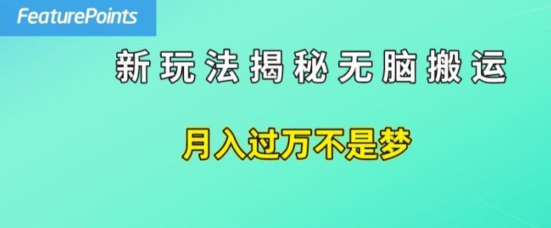 简单操作，每天50美元收入，搬运就是赚钱的秘诀【揭秘】-全有网创