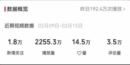 视频号最新100%原创玩法，收益稳定，单日收益1000+，小白专属-全有网创