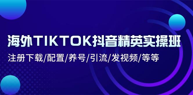 海外TIKTOK抖音精英实操班：注册下载/配置/养号/引流/发视频/等等-全有网创