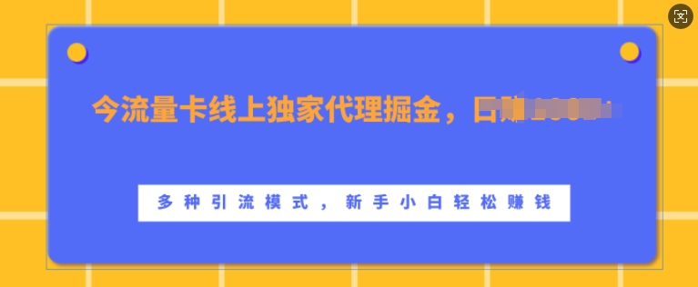 流量卡线上独家代理掘金，日入1k+ ，多种引流模式，新手小白轻松上手【揭秘】-全有网创