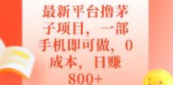 最新平台撸茅子项目，一部手机即可做，0成本，日赚800+-全有网创