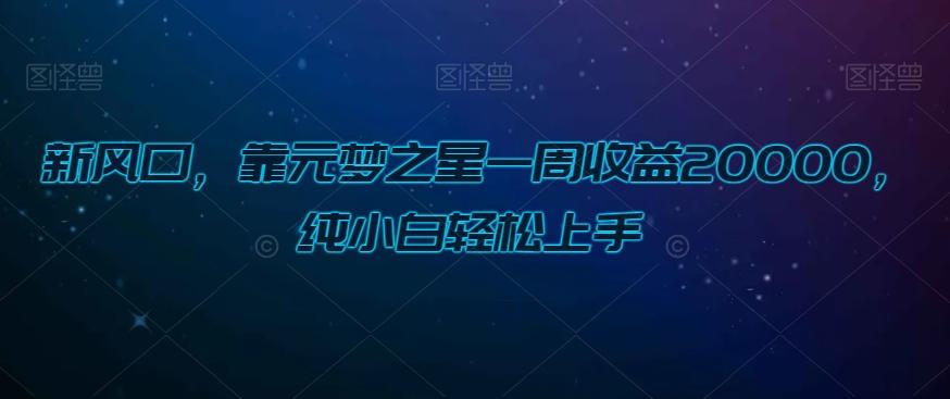 新风口,靠元梦之星一周收益20000,纯小白轻松上手