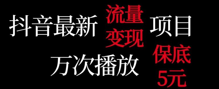 抖音流量变现，万次播放保底5元，额外收入-全有网创