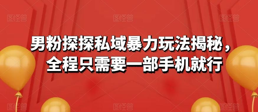 男粉探探私域暴力玩法揭秘，全程只需要一部手机就行-全有网创