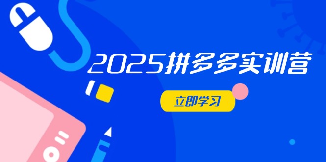 2025拼多多实训营:深度剖析运营关键,助力电商人快速提升-全有网创