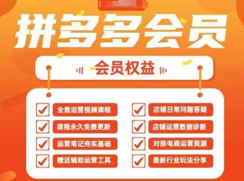 2025拼多多运营实战课，40节全流程教学，覆盖拼多多运营全链路-全有网创
