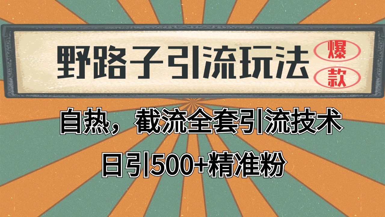 2024首发野路子引流玩法截流自热全平台打法，全自动引流【日引2000+精准客户】-全有网创