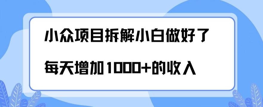 小众项目拆解，小白做好了每天可增加1000多的收入-全有网创