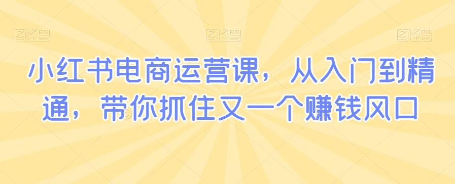 小红书电商运营课,从入门到精通,带你抓住又一个赚钱风口