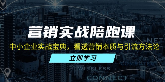 营销实战陪跑课：中小企业实战宝典，看透营销本质与引流方法论-全有网创