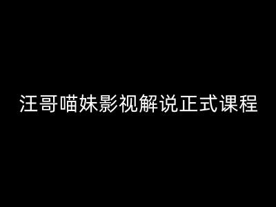 汪哥影视解说正式课程：剪映/PR教学/视解说剪辑5大黄金法则/全流程剪辑7把利器等等-全有网创