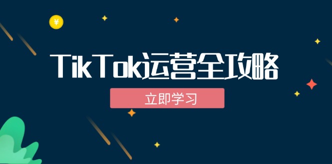 TikTok实战运营全攻略：从下载软件到变现，抖音海外版实操教程-全有网创