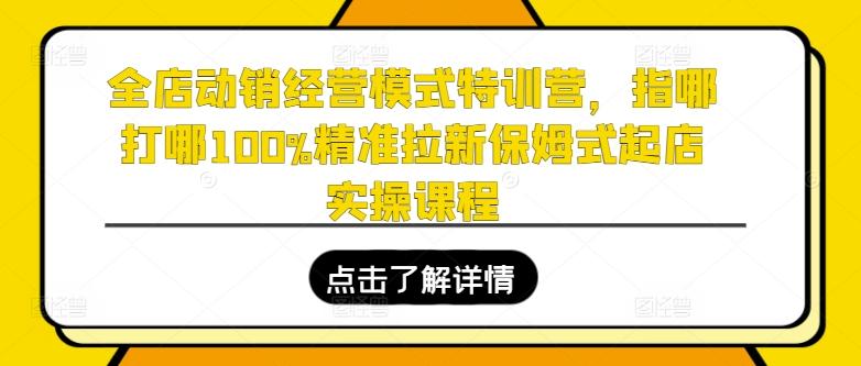 全店动销经营模式特训营,指哪打哪100%精准拉新保姆式起店实操课程