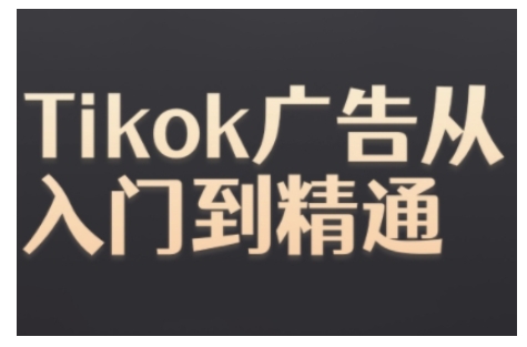 Tiktok Ads实操教程，Tiktok广告从入门到精通-全有网创