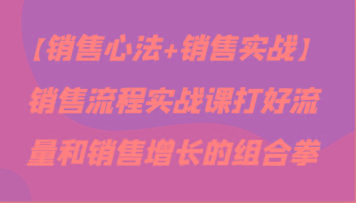 【销售心法+销售实战】销售流程实战课打好流量和销售增长的组合拳-全有网创