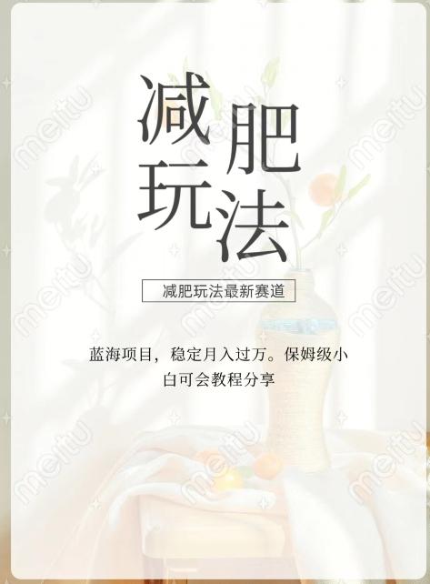 减肥流量主新玩法，轻松月入1W，可矩阵操作收入翻倍-全有网创