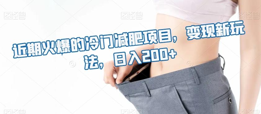 近期火爆的冷门减肥项目，变现新玩法，日入200+-全有网创