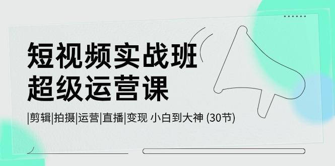 短视频实战班超级运营课 |剪辑|拍摄|运营|直播|变现 小白到大神 (30节)-全有网创