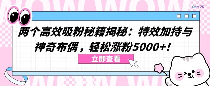 两个高效吸粉秘籍揭秘：特效加持与神奇布偶，轻松涨粉5000+【揭秘】-全有网创