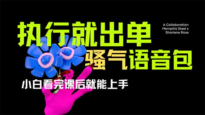 （14170期）爆火全网的开车导航骚气语音包,只要执行就出单，小白看完课程就能实操…-全有网创